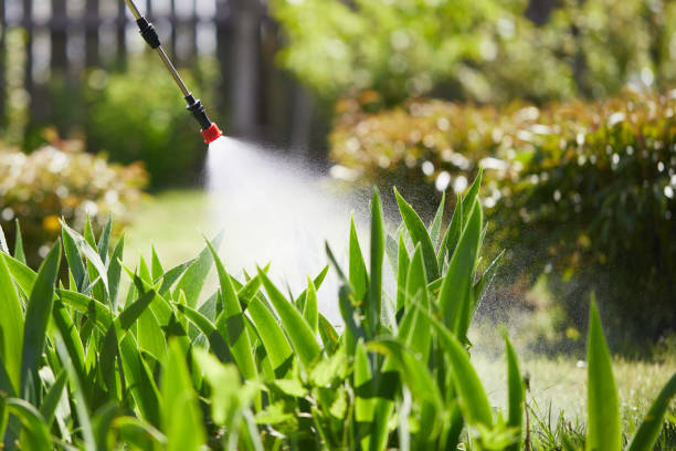 24/7 Emergency Rodent Control experts in Aspermont, TX
